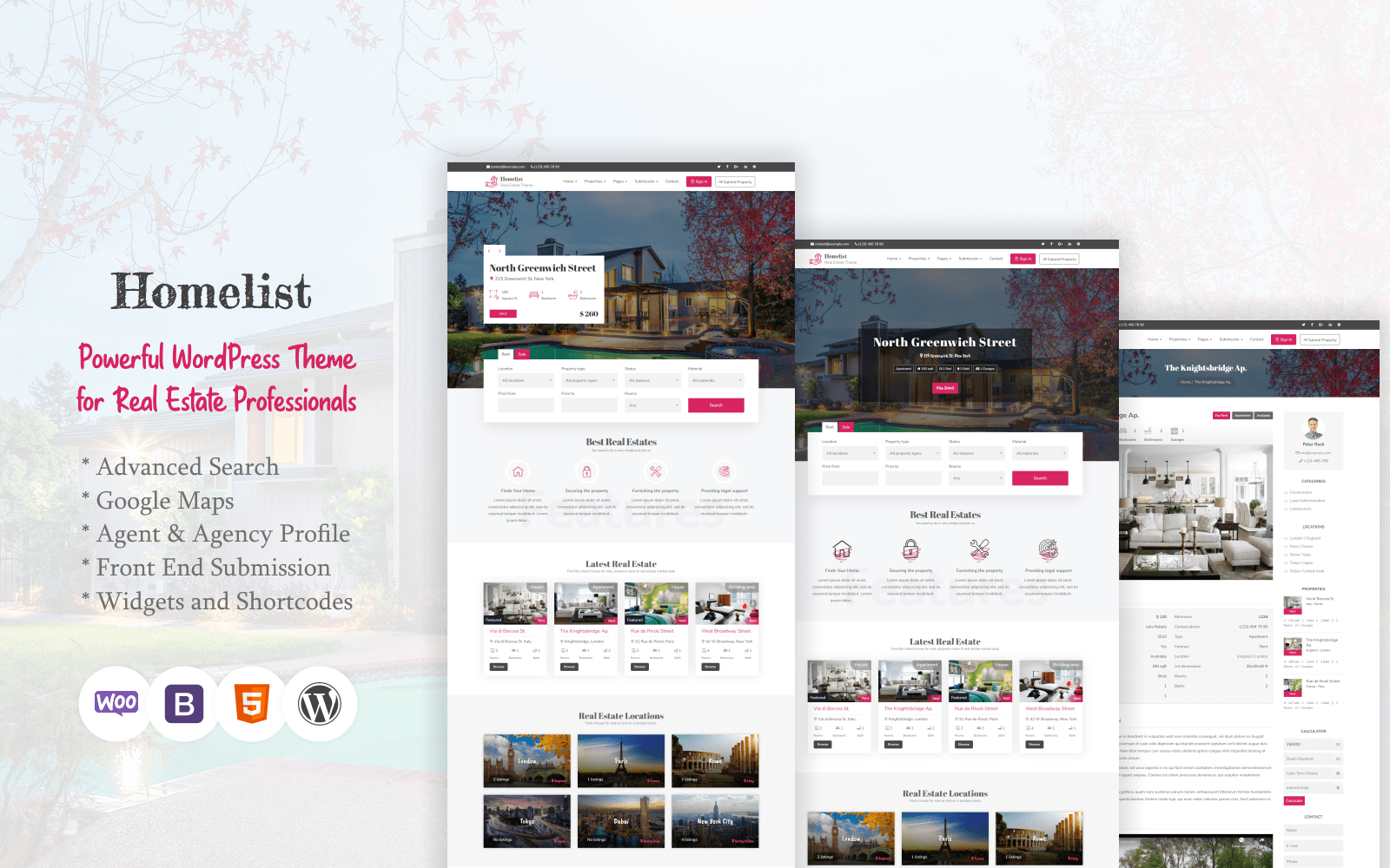 homelist-real-estate-wordpress-theme_68756-4-original